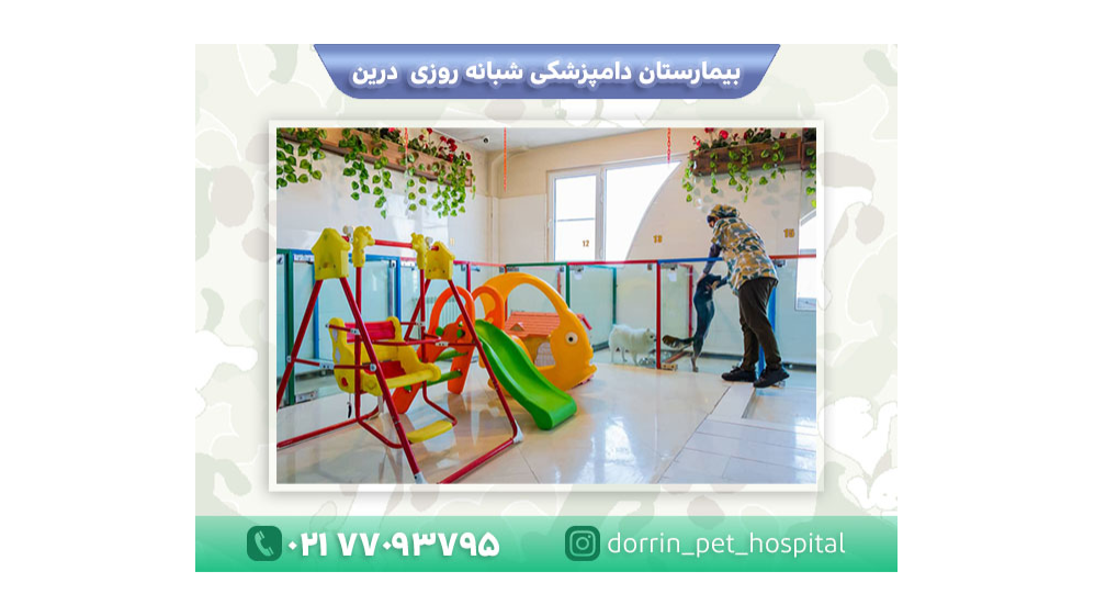 کلینیک دامپزشکی درین در رسالت نارمک