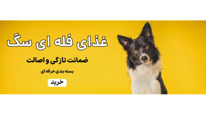 پت شاپ آنلاین اورنگ پت در فرودگاه مهرآباد میدان آزادی