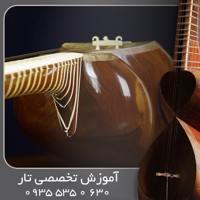 تصویر 14 آموزش تار تخصصی آکادمیک
