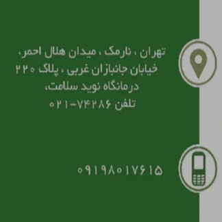 تصویر 5 الهه توتونچی کارشناس ارشد ارتوپدی فنی