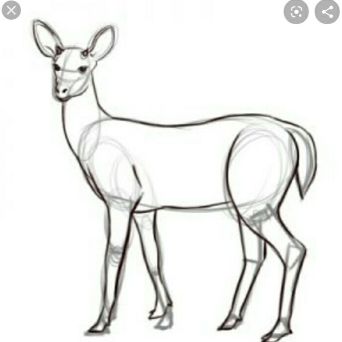 تصویر 13 آموزشگاه نقاشی تماشاگه راز