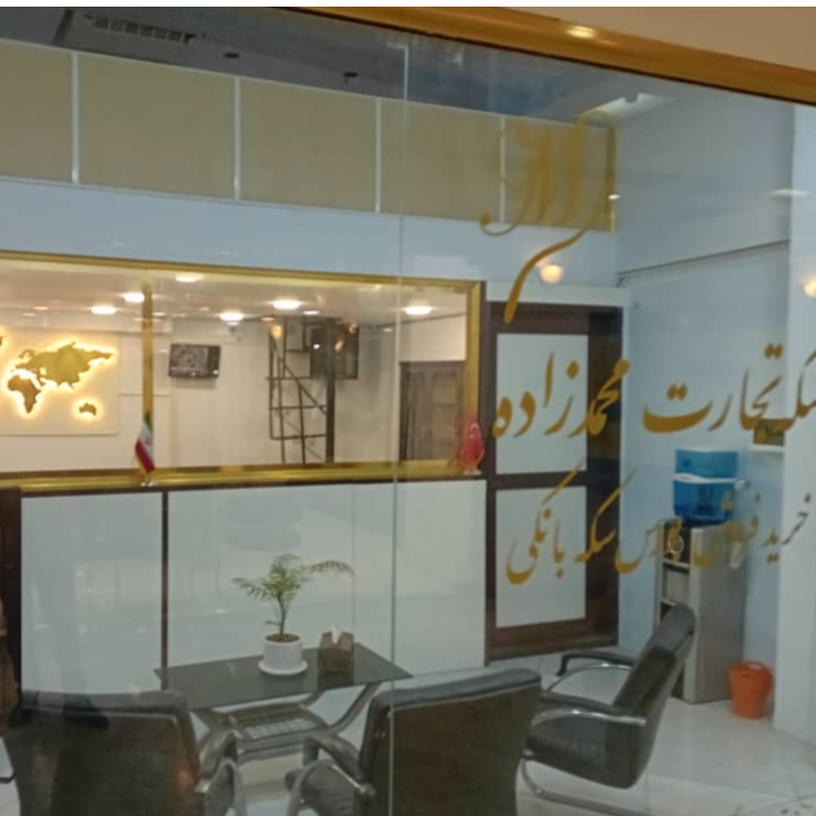 تصویر 1 سکه اب شده محمدزاده