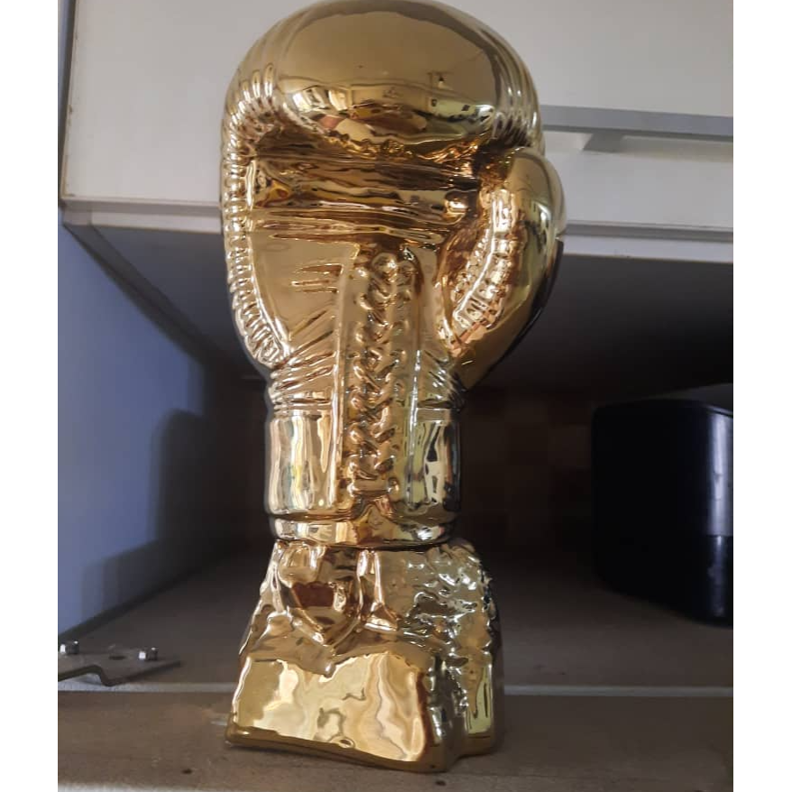 آکادمی بوکس علی قاسمیان در  شهران کن شهرزیبا