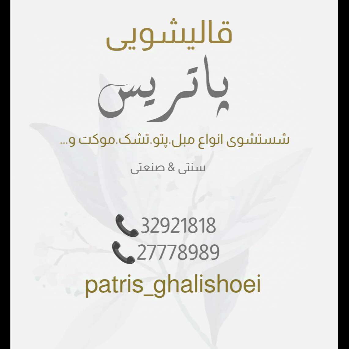 تصویر 6  قالیشویی پاتریس 