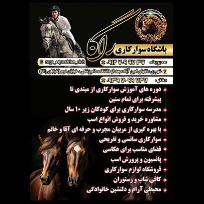 تصویر 3 باشگاه سوارکاری و آموزش اسب سواری راگا