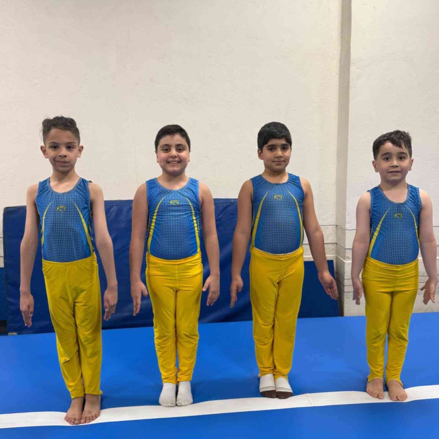 تصویر 4 مدرسه ژیمناستیک ماهانا