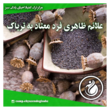 تصویر 1   ترک اعتیاد احیای زندگی سبز
