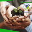 تصویر 5   ترک اعتیاد احیای زندگی سبز