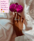 تصویر 5 سولاریوم سان اسپید