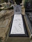 تصویر 8 سنگ معمار