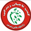 تصویر 2 کمپ ترک اعتیاد ناجیان زندگی