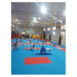 تصویر 12 باشگاه بزرگ رزمی