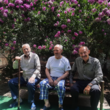 تصویر 3 مرکز توانبخشی و نگهداری سالمندان سپیدار