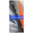 تصویر 3 قالیشویی بی همتا