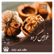 تصویر 3 عطاری بانوی خراسان 
