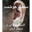تصویر 12 کلینیک شنوایی و سمعک آریان