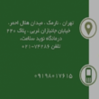 تصویر 2 الهه توتونچی کارشناس ارشد ارتوپدی فنی