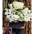 تصویر 25 گلفروشی مسیحا