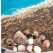 تصویر 12 آموزشگاه رزین آرینه