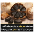 تصویر 10 فروشگاه اینترنتی هزارکالا