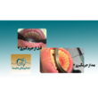 تصویر 1 مرکز دندانپزشکی شایسته