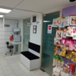 تصویر 3 کلینیک دامپزشکی پانیا