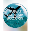 تصویر 2 پرواز شاپرک بلورین