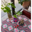 تصویر 3  ماساژ درمانی لوندر ویژه بانوان