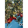 تصویر 1 مهد کودک وپیش دبستانی کارن