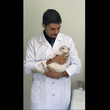 تصویر 1 خدمات دامپزشک در منزل دکتر فربود والیانی