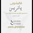 تصویر 6  قالیشویی پاتریس 