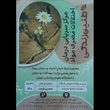 تصویر 1  کلینیک ترک اعتیاد طنین زندگی