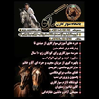 تصویر 3 باشگاه سوارکاری و آموزش اسب سواری راگا
