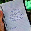 تصویر 5  آموزش خوشنویسی تحریری نسخ و نستعلیق لیلا امیدی