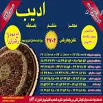 قالیشویی ادیب