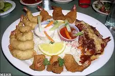 کترینگ اسنوژی