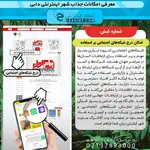 دکتر فرهاد مرادی