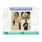 کلینیک دامپزشکی درین