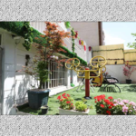 مرکز جامع توانبخشی سالمندان صدرا شبانه روزی