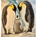 آموزشگاه طراحی و نقاشی انصاریان