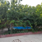کمپ ترک اعتیاد شروع‌زندگی‌دوباره‌