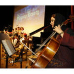 آموزشگاه موسیقی تماشاگه راز (درجه یک هنری)