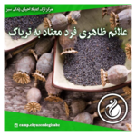   ترک اعتیاد احیای زندگی سبز