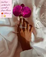 سولاریوم سان اسپید
