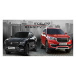 دیتیلینگ خودرو آلتون