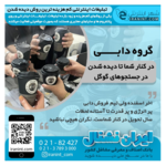 هلدینگ دابی (موسوی)