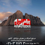 مشاور تبلیغاتی شجاعتی