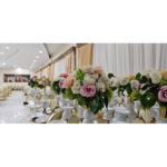 باغ تالار پذیرایی رویا