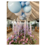 تشریفات و مجالس لیدا اسکندری