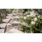 ظروف کرایه لوکس یاقوت